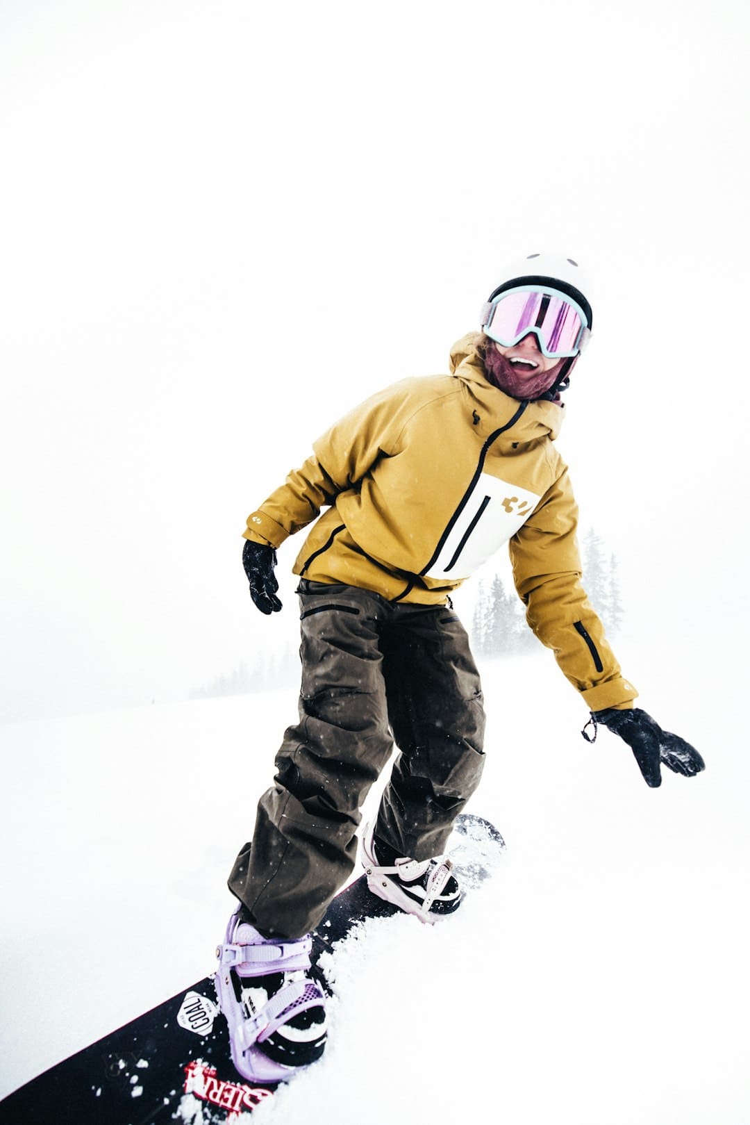 距城区缺乏10公里！雪豹现身拉萨近郊